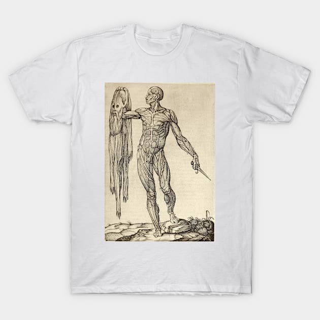 Dissected cadaver with flayed skin (C019/7086) T-Shirt by SciencePhoto